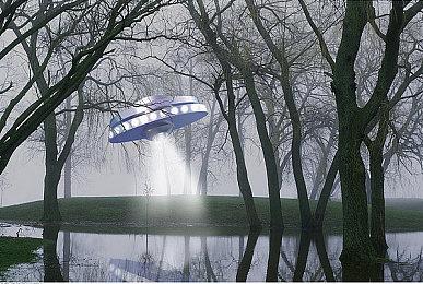 Xbox硬件销售目前仅占Xbox总收入的13%